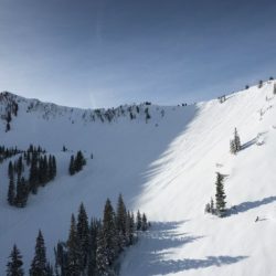 Clover v. snowbird ski resort