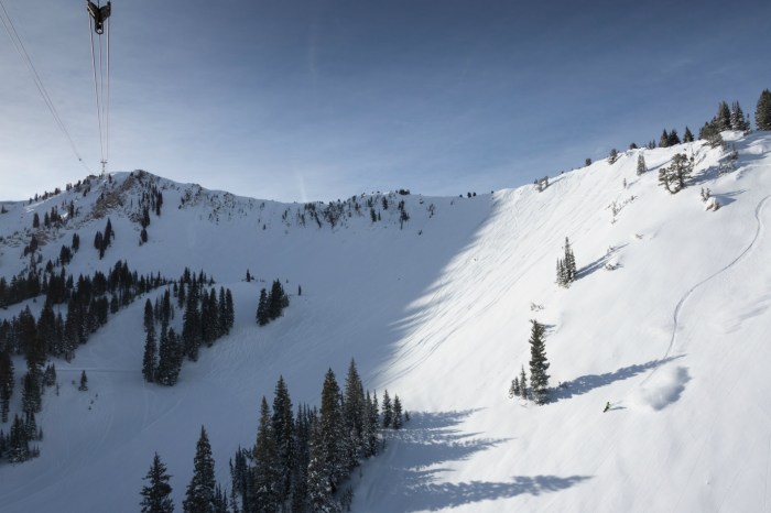 Clover v. snowbird ski resort