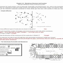 Cell membrane & tonicity worksheet