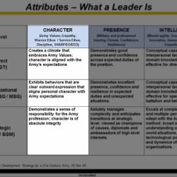 Performance goals and expectations for ncoer