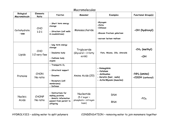 Macromolecule comparison table answer key pdf